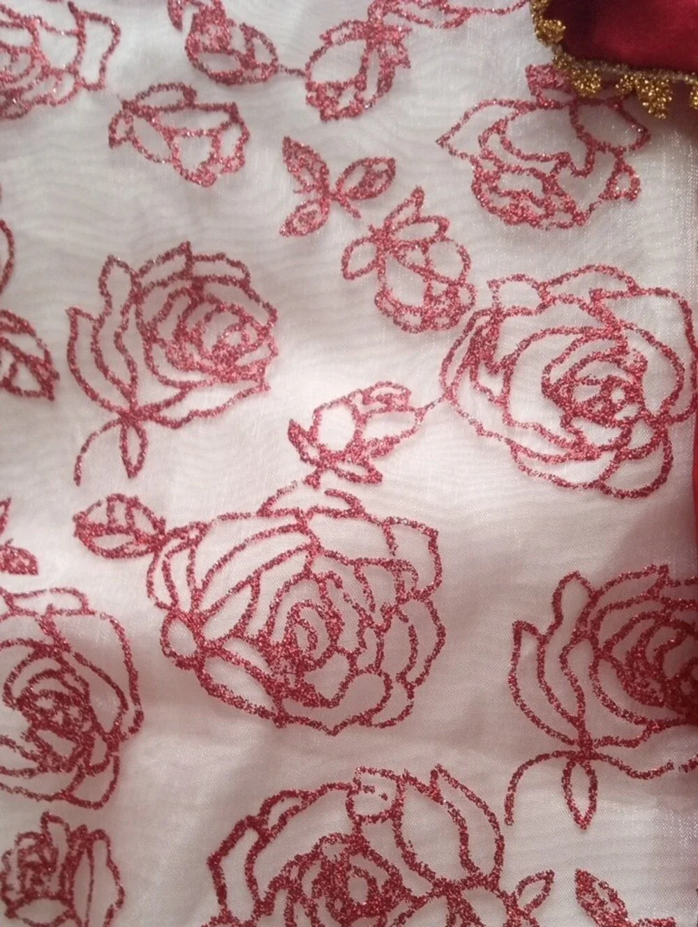 Red Velvet Princess Dress with Gold Trim